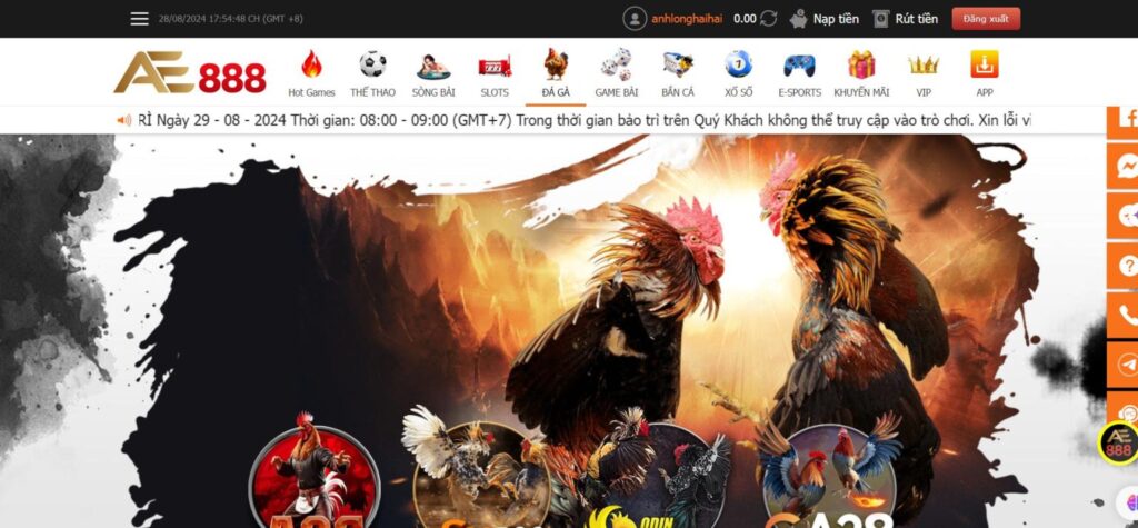 ĐÁ GÀ AE888 – HÌNH THỨC GIẢI TRÍ MANG VỀ LỢI NHUẬN KHỦNG